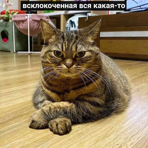    :  - 2