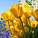 ���� ��������, �����, 53 ���� - ��������� 8 ���� 2019 � ������ ���� ����������