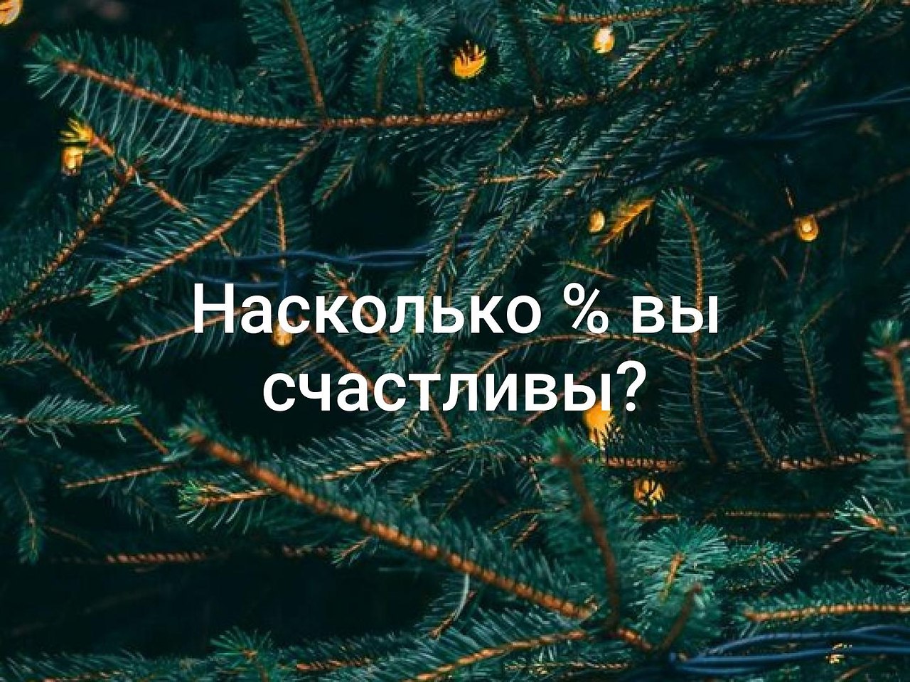   - 15  2019  19:15