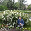 ���� �������, ������������, 66 ��� - ��������� 1 ������ 2019