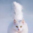 ���� ������, �������� - ��������� 5 ������� 2019 � ������ ���� ����������