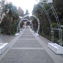 , ,02.01.20.8.40.   , 2020