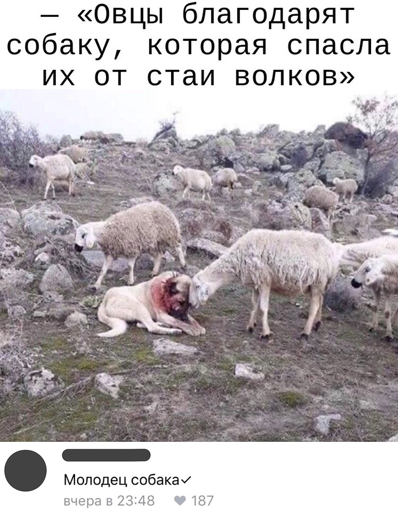  - 31  2019  03:43