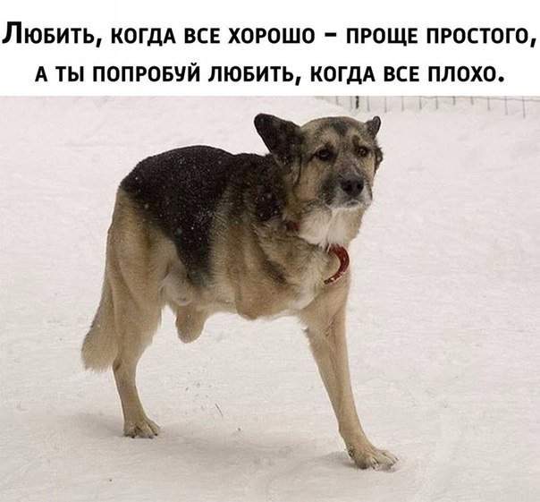    - 18  2019  03:30