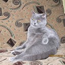 ���� ³����, ��������, 63 ���� - ��������� 26 ������� 2019 � ������ ���� �������Ż