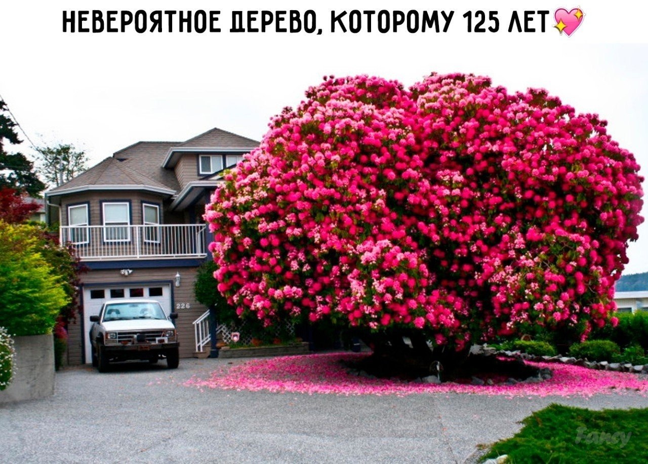   - 10  2019  03:36