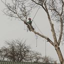 ���� �����, �����, 31 ��� - ��������� 25 �������� 2019 � ������ ���� ����������