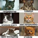  Saturn,  -  21  2019    