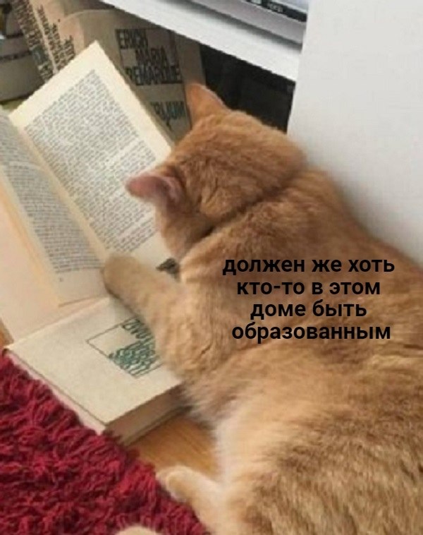  - 5  2019  03:45 - 2