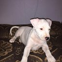 ���� ������, ������, 59 ��� - ��������� 28 ������� 2019 � ������ ���� ����������