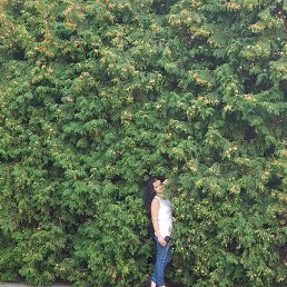 ������, ������