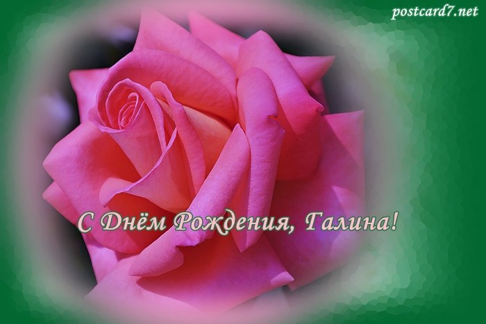   ,    . - 12  2019  07:57 - 6
