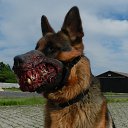 ���� ������, ���������, 57 ��� - ��������� 24 ������ 2019 � ������ ������ ��������