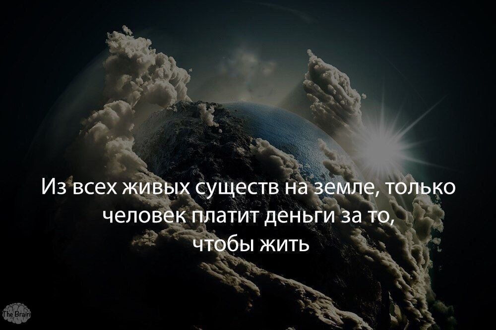  |  |   5 - 20  2019  01:53