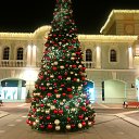  , -, 51  -  19  2019    