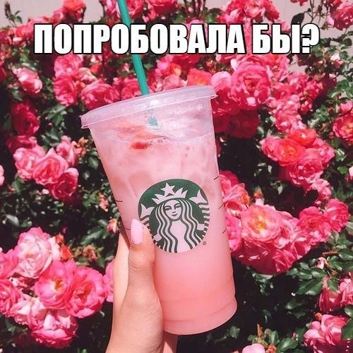   - 10  2019  03:37