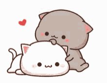 ���� ������, ������-���, 41 ��� - ��������� 29 ��� 2019