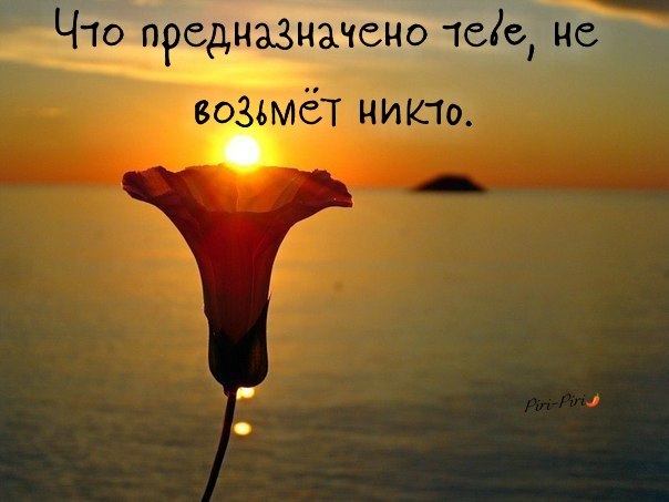Эм Вильевич - 29 декабря 2019 в 16:33