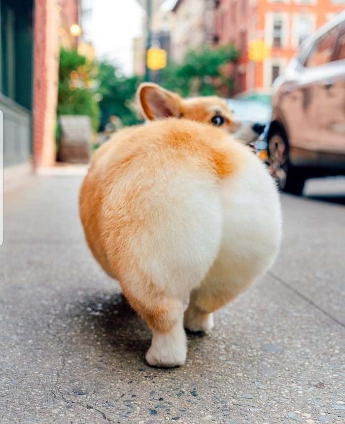   ?