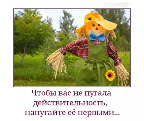 Реклама в газете Вечерняя Одесса: "По вашим чекам из магазина рассказываю ваше прошлое и ...