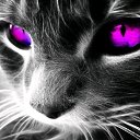 ���� �������, ����, 51 ��� - ��������� 30 �������� 2019