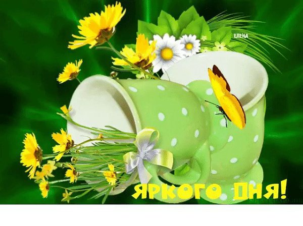   ,    . - 21  2019  17:07