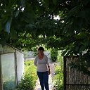  Galina,  -  13  2019    