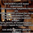 ���� ������, ����, 48 ��� - ��������� 8 ������ 2019 � ������ ���� ����������