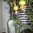  , , 55  -  20  2019   titov.70