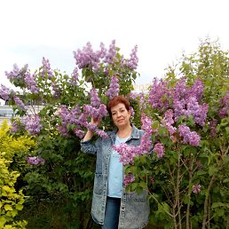Ольга, 56, Оболенск
