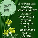  ,  -  7  2019    