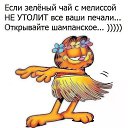  , , 57  -  25  2019   ?