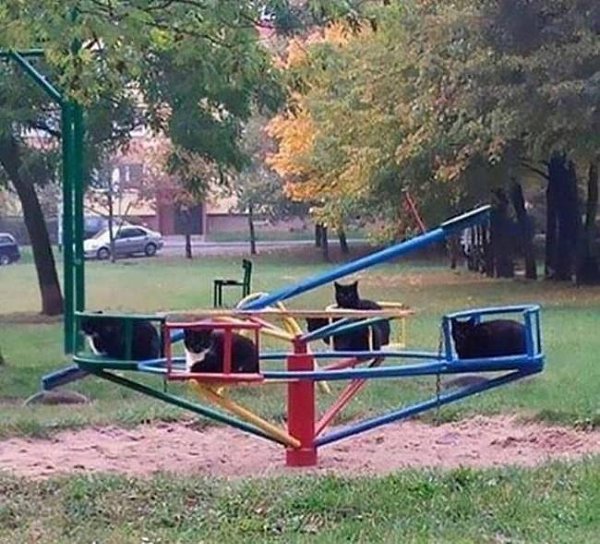        :