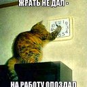  ,   -  27  2019    