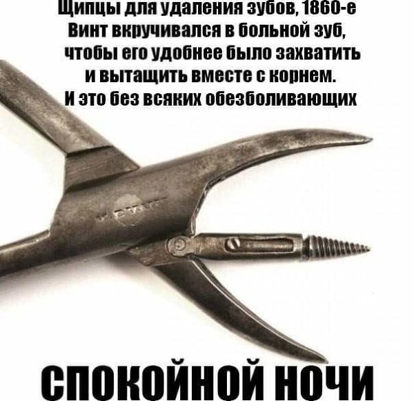 ***Victoria Viktorovna*** - 29  2019  15:24
