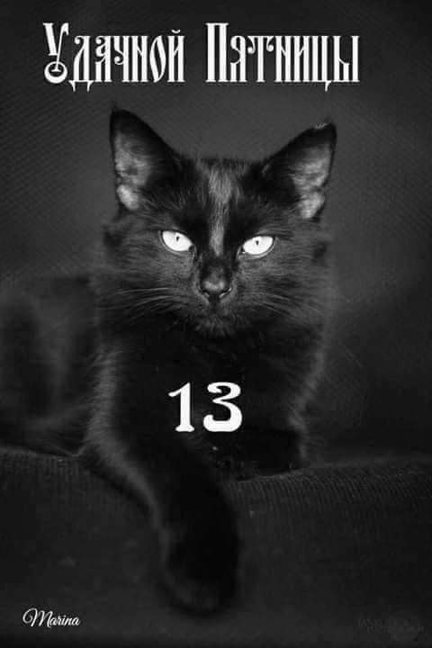 Anett - 13  2019  21:04