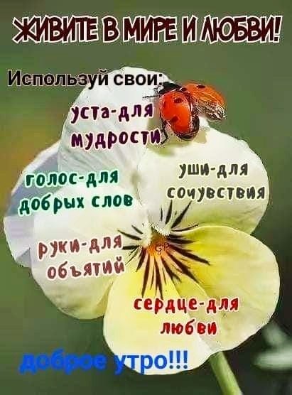   ,    . - 21  2019  22:53 - 2