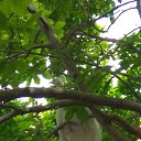 ������ �������� �� ������� ���� ����������