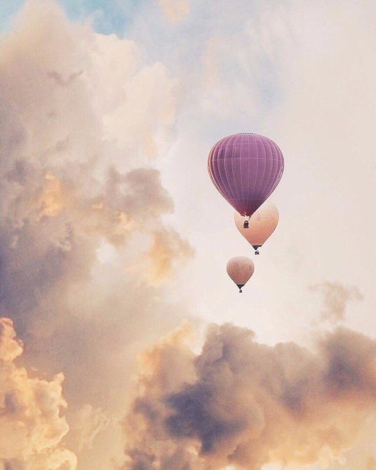    - 3  2019  03:26