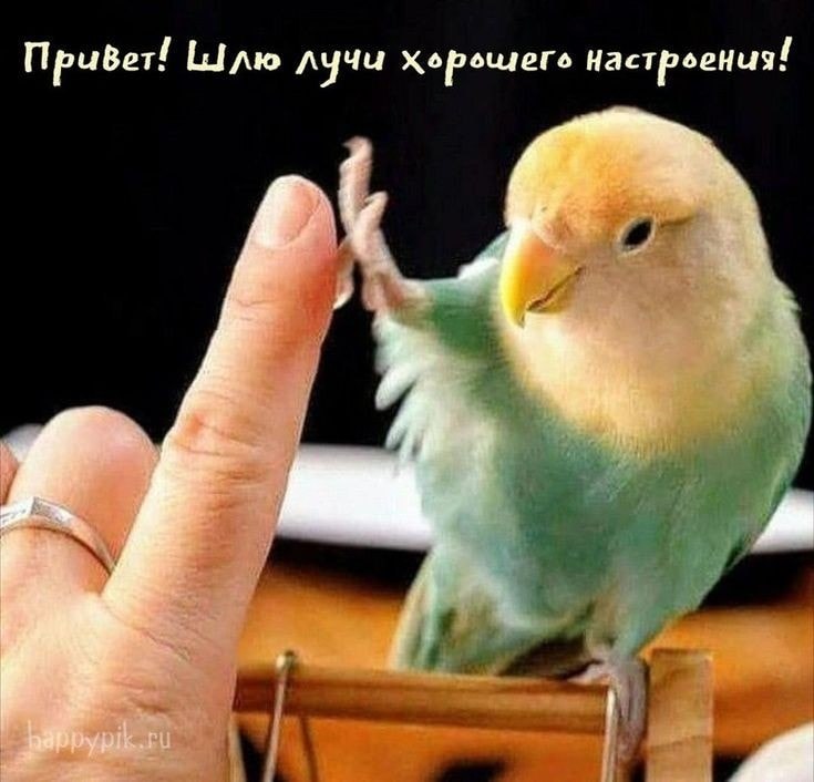 )))