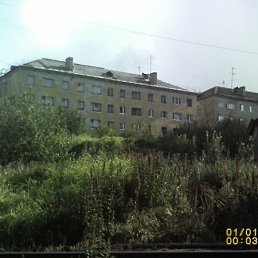 ������, ���������, 56 ���