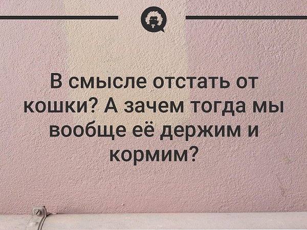   - 20  2019  01:55
