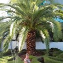 ���� ��������, �����, 62 ���� - ��������� 23 ������ 2019 � ������ ���� ����������