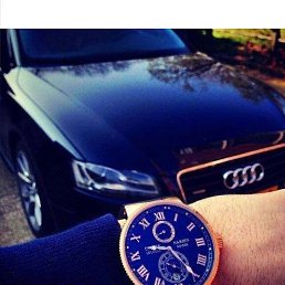 Artica, ������