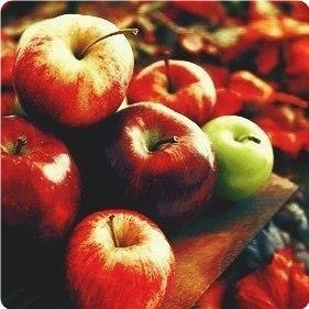 ����� ��a o�e�� ���e� �o�o�a �a ��a���... - 2