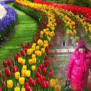 ���� �������, ������ ��������, 67 ��� - ��������� 1 ������� 2019 � ������ ������ ����� �������Ȼ