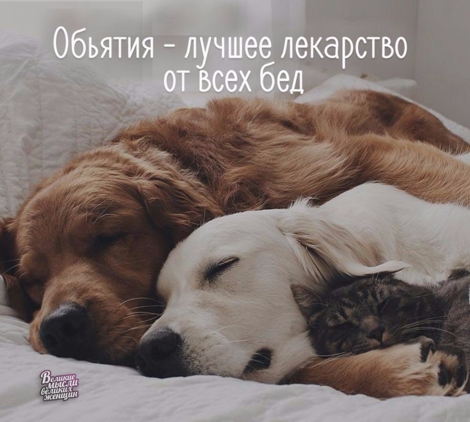     - 10  2019  03:59