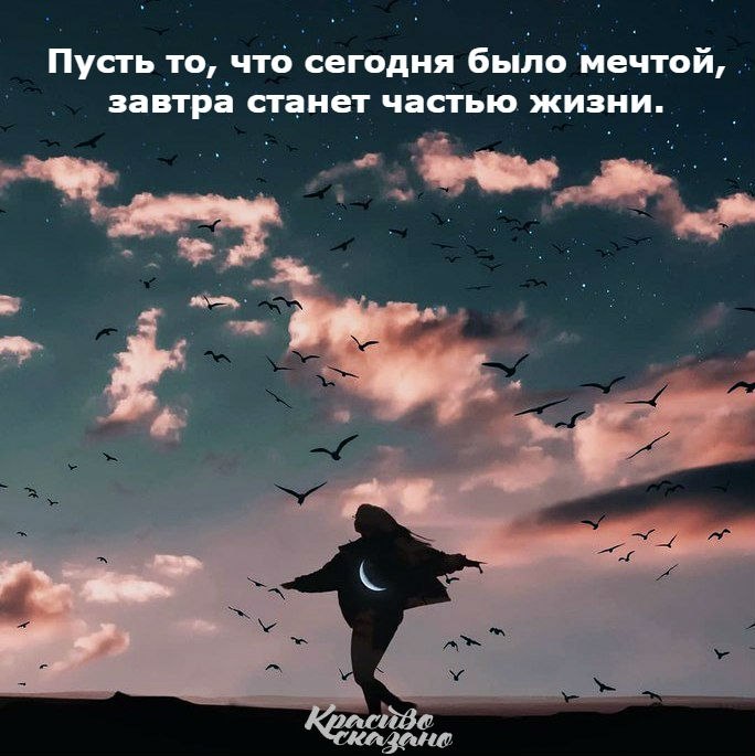   . . . - 6  2019  03:49