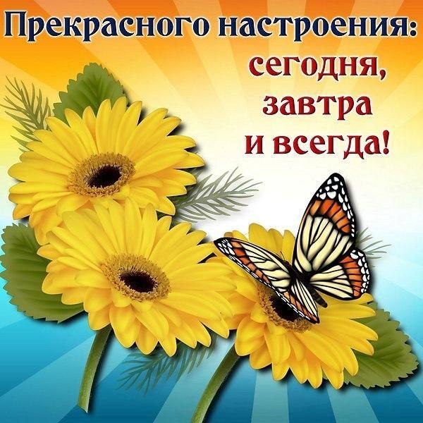   ,    . - 9  2019  09:51