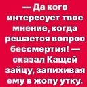  ...,  , 49  -  14  2019     